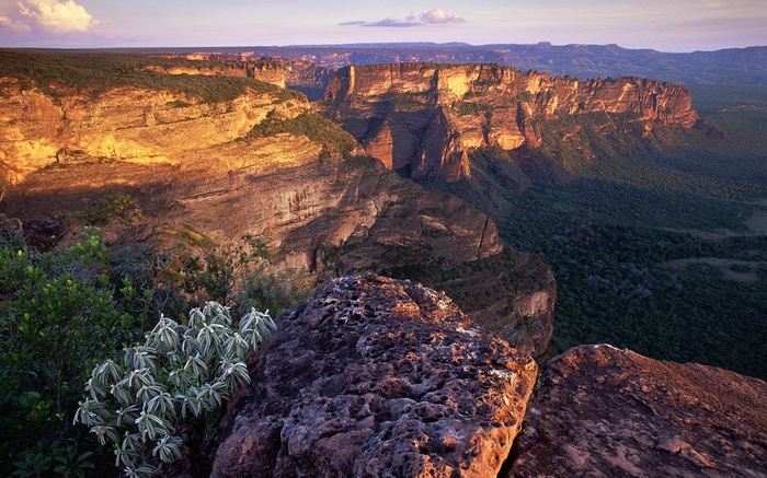 Canyon landscape at sunset with rock formations