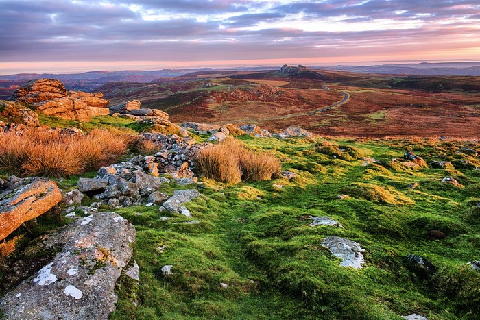 Dartmoor National Park, England, with Stones and Grass