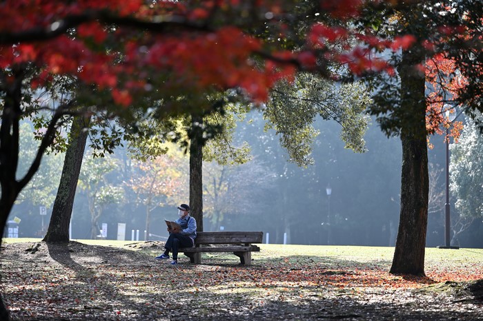 Person sitting on a park bench in autumn