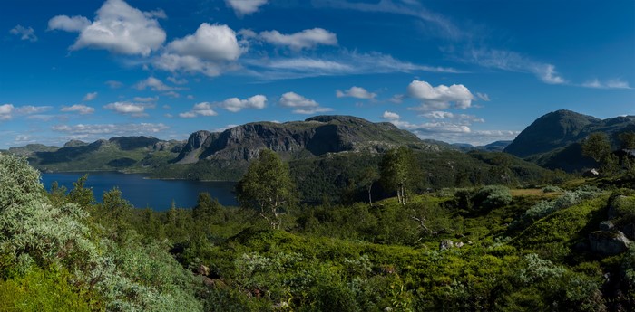 Panorama of Suldal, Norway with Mountains and Lake