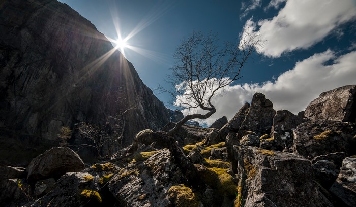 4K Norway Mountains with Tree and Sun