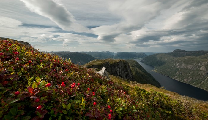 4K Rogaland Norway Mountains Scenery with Berries and Clouds