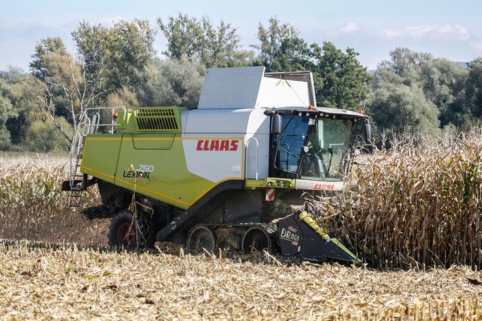 Claas Lexion 750 Combine Harvester in Corn Field