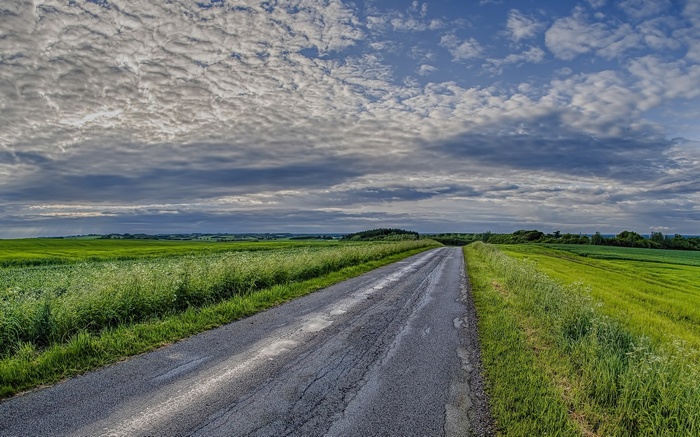 A lonely road through green fields under a cloudy sky