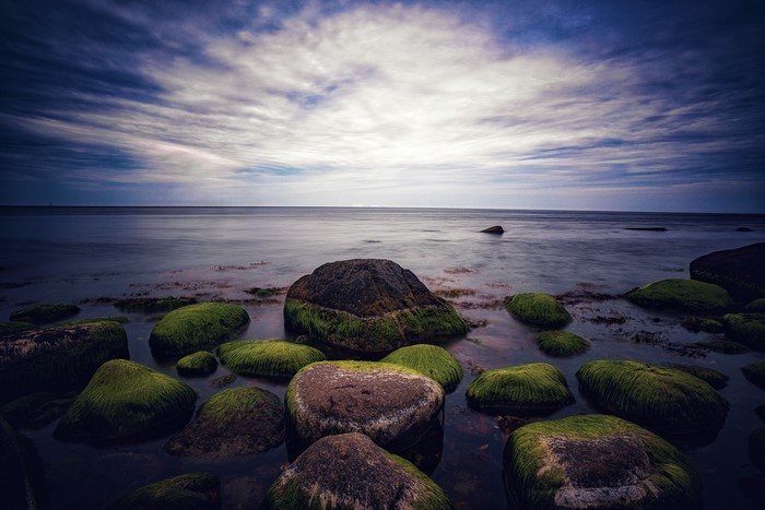 Ocean with mossy stones at dusk