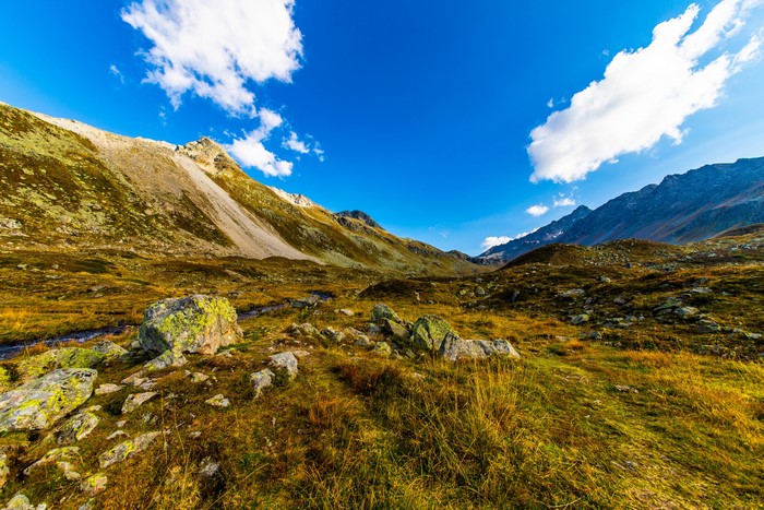 Switzerland Mountains with Grass and Stones