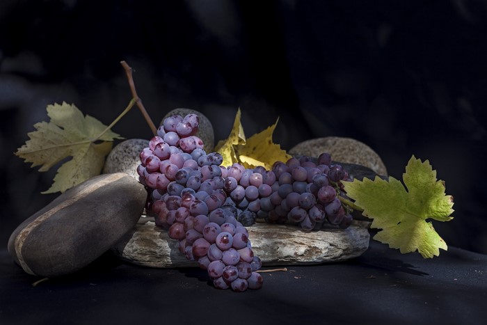 Grapes with branches and stones