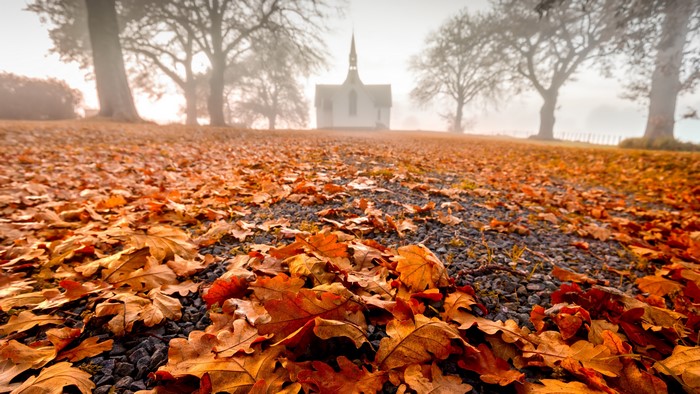 Autumn Foggy Morning at Christ Church, New Zealand