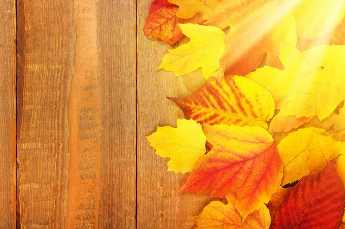 Autumn Leaves on Wood Planks