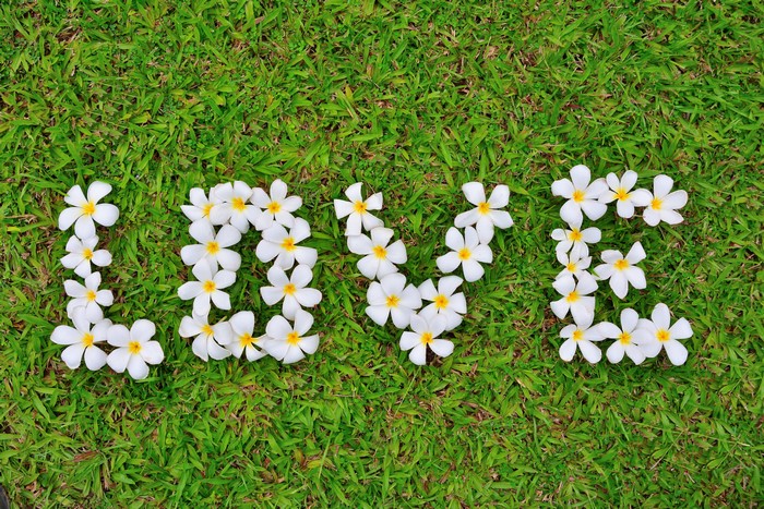 Love spelled with Plumeria flowers on grass