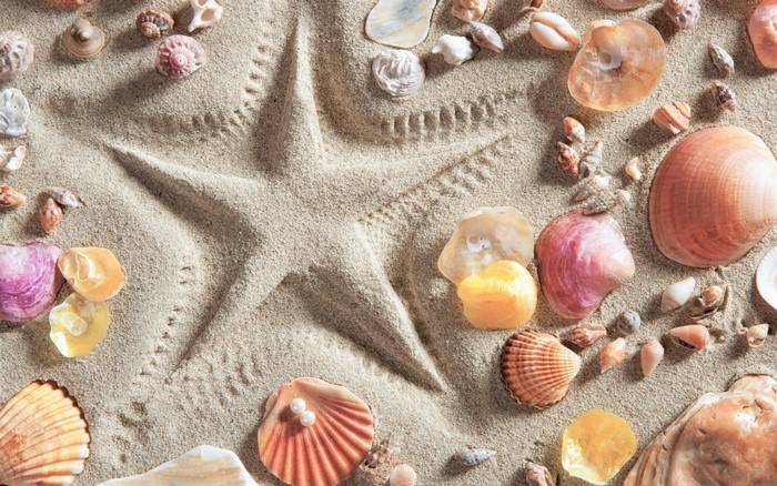 Starfish imprint in sand with seashells