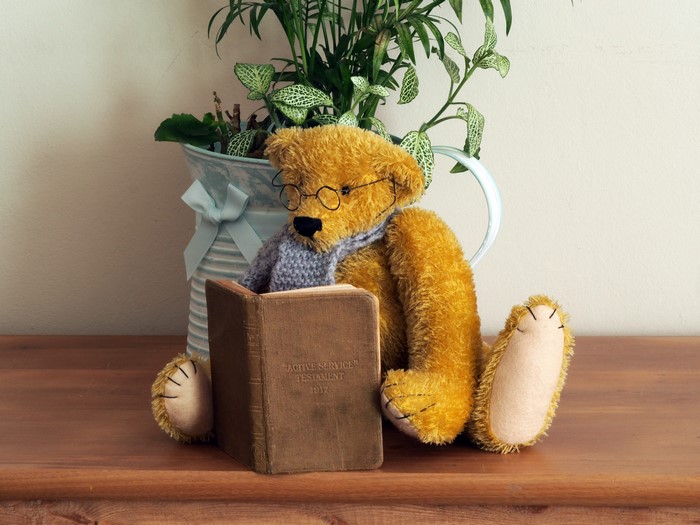 Teddy bear reading a book
