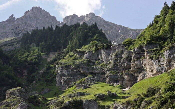 Rocky mountain landscape with green trees and grass