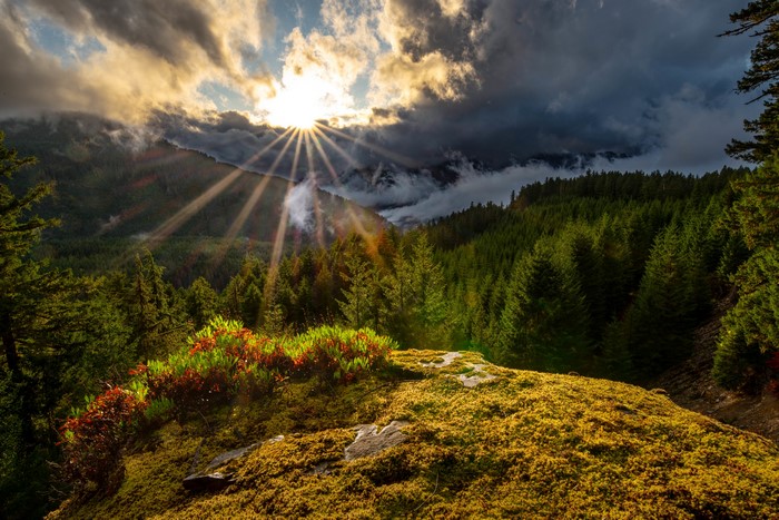 Sunbeams over Washington State Mountains and Forest