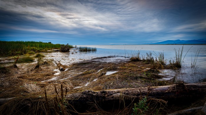 Fraser River, British Columbia, Canada