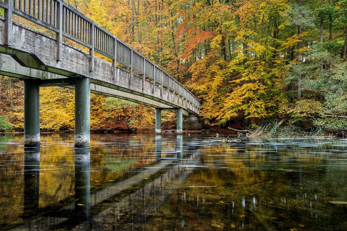 Wooden bridge over a river in autumn forest, Germany