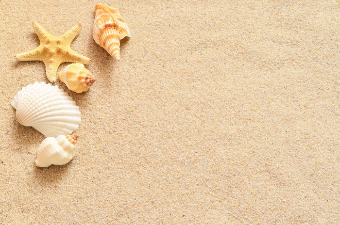 Starfish and Shells on Sand