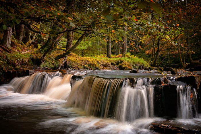 Autumn Waterfalls in County Durham Park