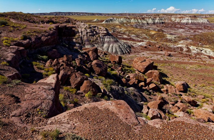 Petrified Forest National Park Stones USA