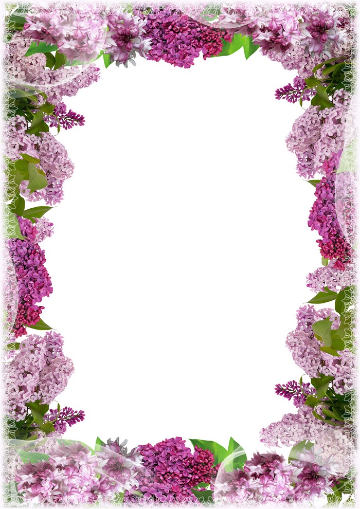 Lilac branches border for greeting card