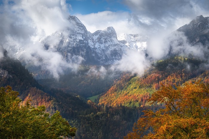 Autumn forest and snow-capped mountains in Glarus, Switzerland