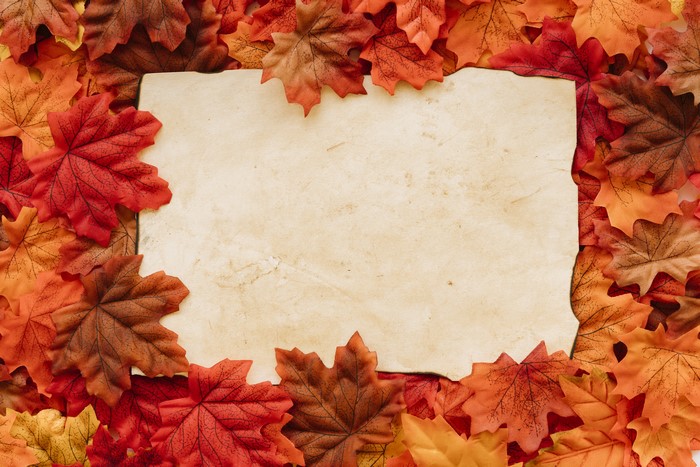 Autumn Maple Leaves Template Greeting Card