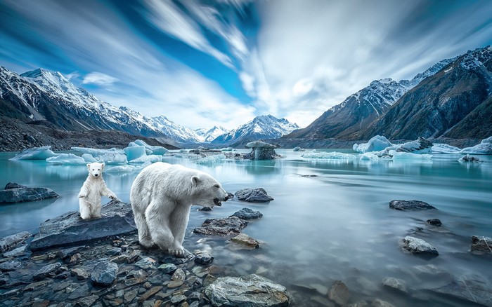 Polar bears and cubs on rocky shore with icy mountains