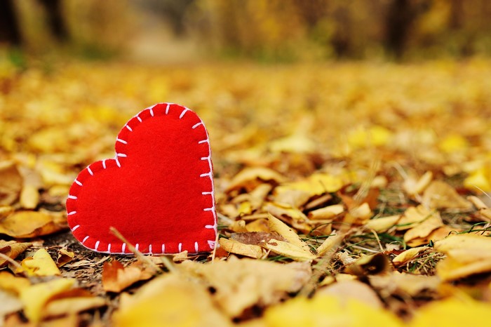 Red heart on autumn leaves
