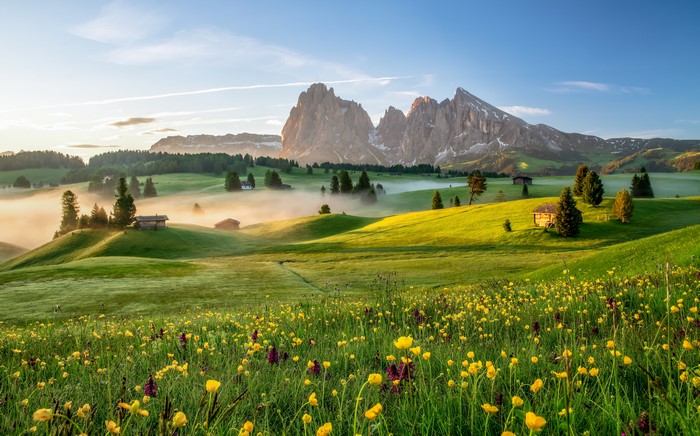 Dolomites Mountains Grasslands Fog Morning Italy
