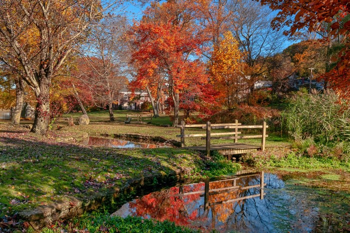 Autumn scene in Gerry Park, Roslyn, New York with a pond and bridge
