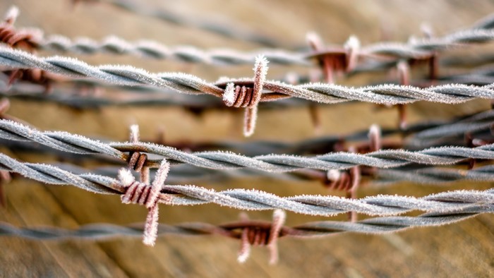 Barbed wire covered in frost