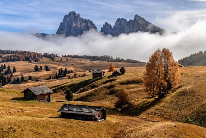 Autumn Fog in South Tyrol, Italy Alps