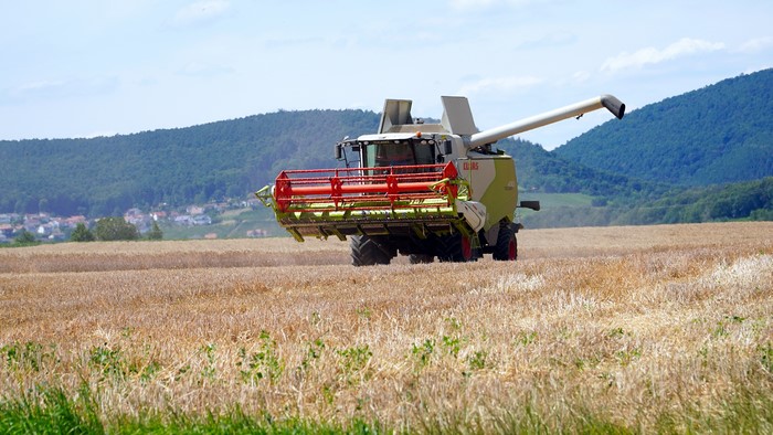 Combine harvester in a wheat field