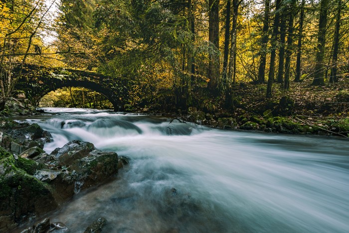 Stone bridge over a river in an autumn forest