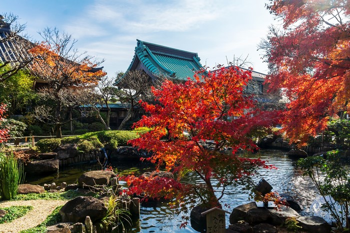 Autumn at a Japanese Temple with a Pond