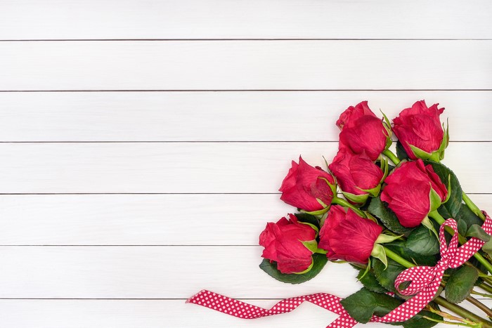 Red Roses with Polka Dot Ribbon on White Wood Planks