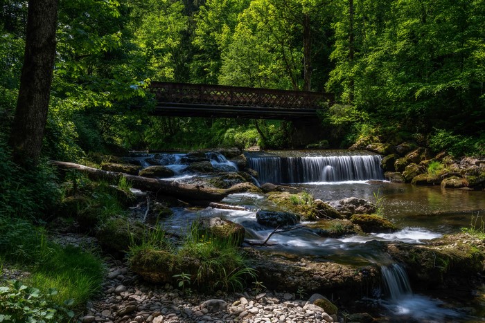 Serene Forest River and Bridge in Bavaria 4K
