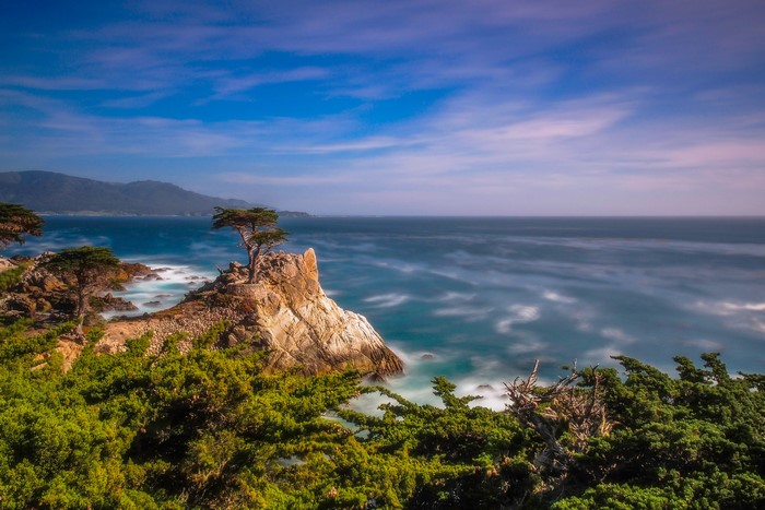 4K Cypress Tree on Rocky Coastline in Pebble Beach, California