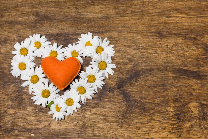 Heart of Camomiles and Orange Heart on Wooden Background