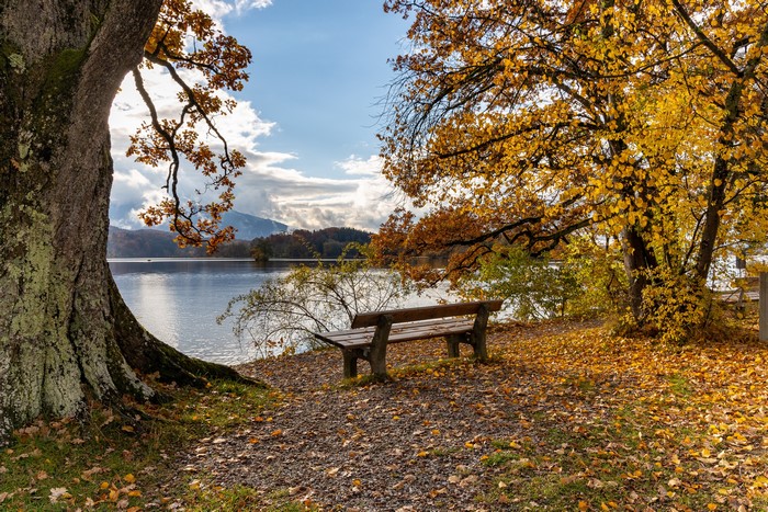 Autumn scene with a bench by a lake in Seehausen, Germany