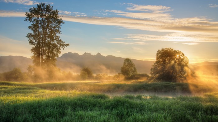 Morning fog over a grassy field with trees and mountains