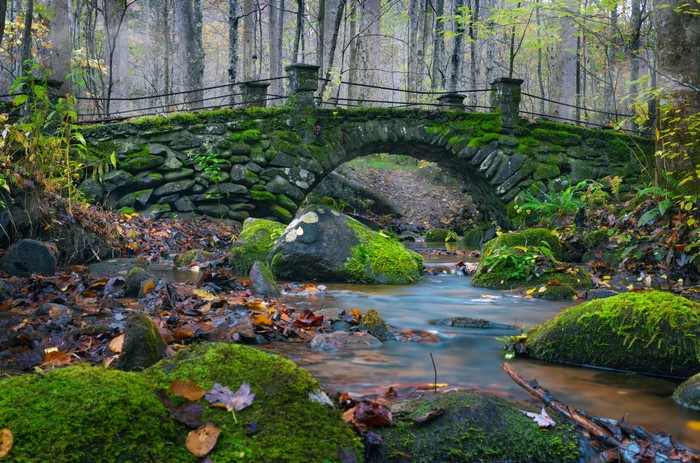 4K Autumn Stream and Mossy Stone Bridge