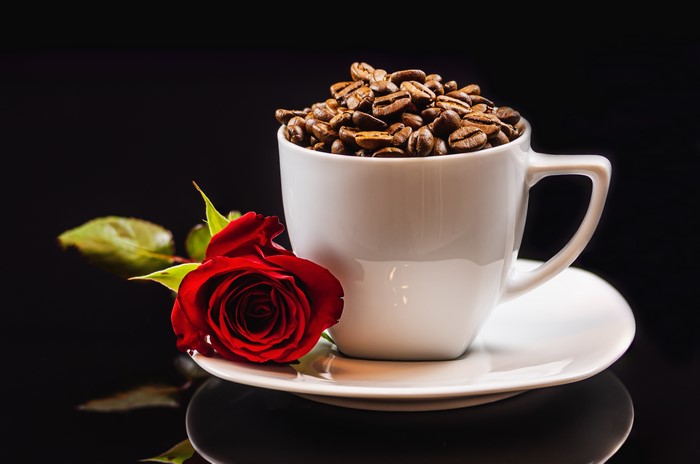 Coffee beans in a cup with a red rose