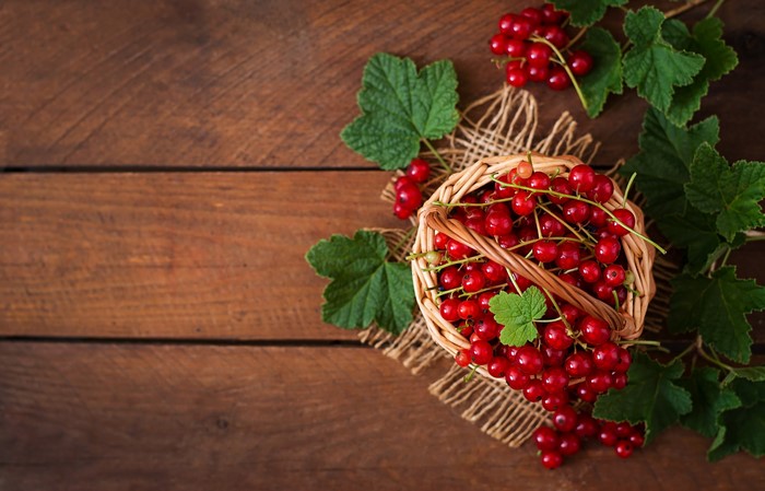 Red currants in a wicker basket with leaves
