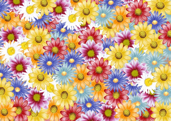 Painting of colorful daisy flowers