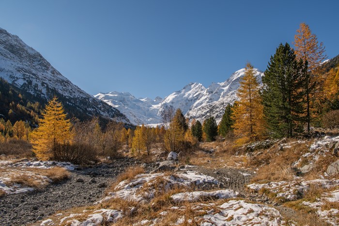 Morteratsch Glacier in the Swiss Alps during autumn