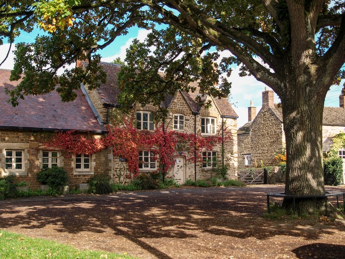 Stone houses with red ivy and large oak tree in Lower Heyford, England