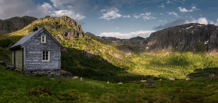 Wooden house in a Norwegian mountain valley with sheep