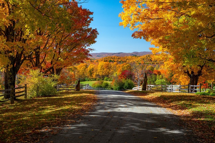 Autumn road in Woodstock, Vermont, USA