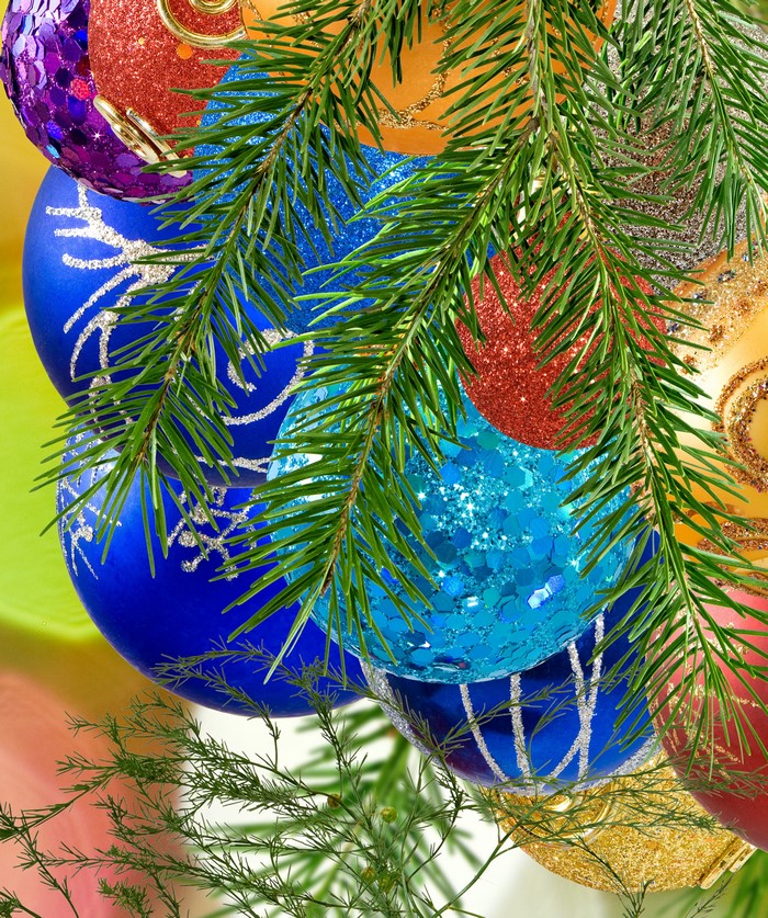Christmas ornaments and pine branches